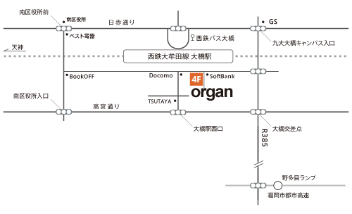 organ map